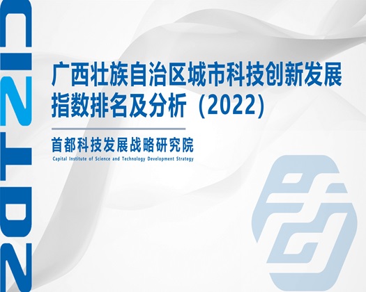 肏烂你大基霸【成果发布】广西壮族自治区城市科技创新发展指数排名及分析（2022）